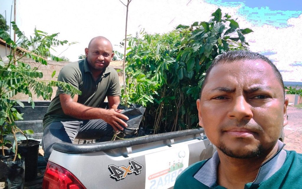 Aquisição de mudas de espécies nativas