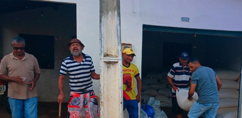 Primeira compra coletiva de milho da CONAB em 2026